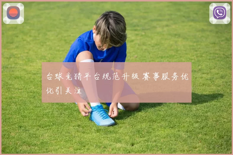 台球竞猜平台规范升级 赛事服务优化引关注