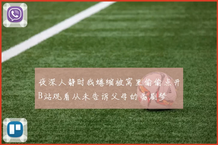 夜深人静时我蜷缩被窝里偷偷点开B站观看从未告诉父母的番剧梦