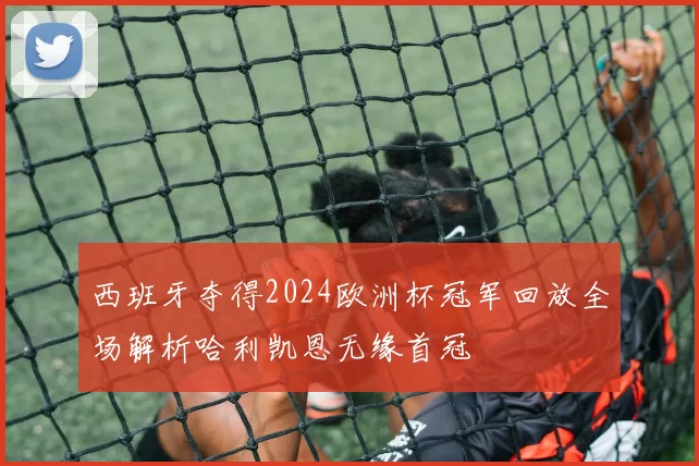 西班牙夺得2024欧洲杯冠军回放全场解析哈利凯恩无缘首冠