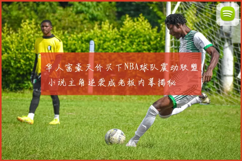 华人富豪天价买下NBA球队震动联盟 小说主角逆袭成老板内幕揭秘