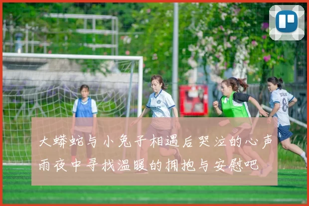 大蟒蛇与小兔子相遇后哭泣的心声雨夜中寻找温暖的拥抱与安慰吧